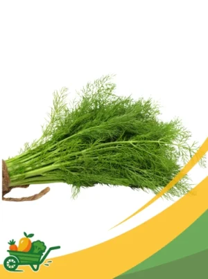Dill - 1 LB
