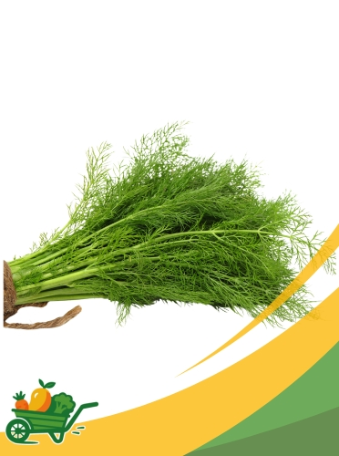 dill Dill - 1 LB