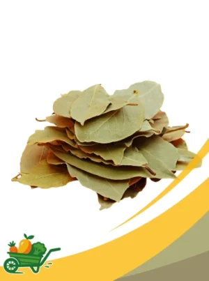 Bay Leaf - 1 LB