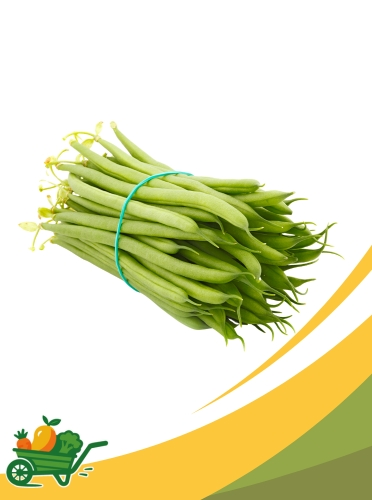 judías-verdes French beans - 5LB
